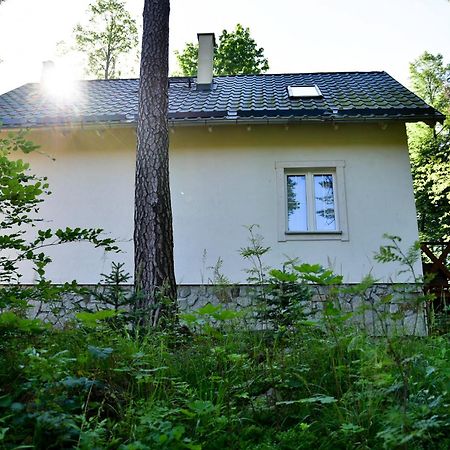Gorski Domek Kolo Karpacza- Apartamentuj Buitenkant foto