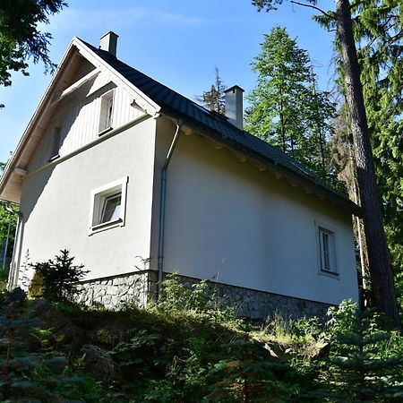 Gorski Domek Kolo Karpacza- Apartamentuj Buitenkant foto