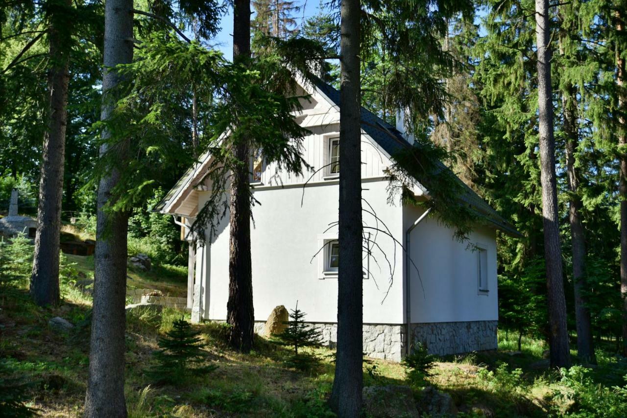 Gorski Domek Kolo Karpacza- Apartamentuj Buitenkant foto